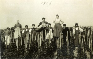 Histoire2 Viticulture en France : facteurs physiques et influences culturelles 1