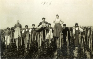 Viticulture en France : facteurs physiques et influences culturelles 1