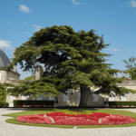 Le groupe Castel met un pied au Château Beychevelle