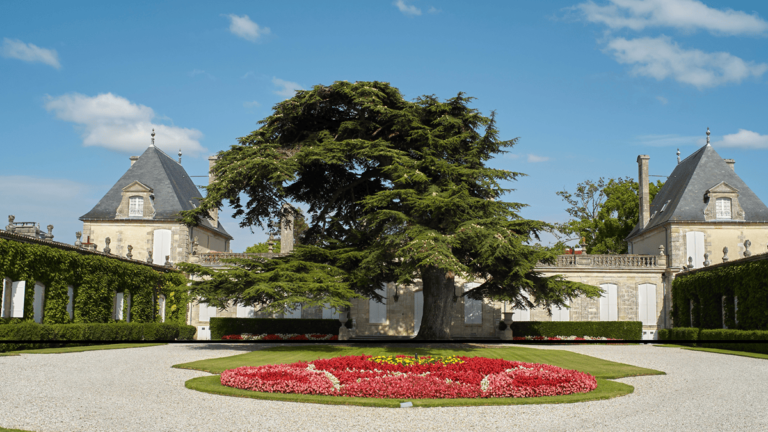 Lire la suite à propos de l’article Le groupe Castel met un pied au Château Beychevelle