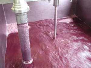 Le saviez-vous : la filtration, à quoi ça sert ? iDealwine