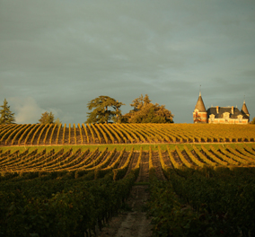 Zoom sur le château de Rayne Vigneau, à Sauternes iDealwine