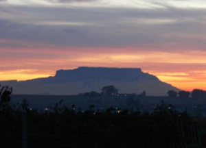 Afrique du Sud histoire du vin 2
