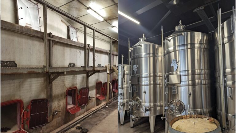 Lire la suite à propos de l’article Vinification : béton ou inox, quelle différence ?