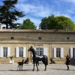 Primeurs 2010 à Bordeaux : premières impressions du millésime