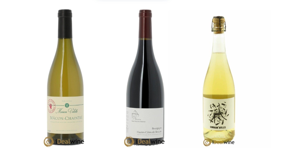 Lire la suite à propos de l’article Pourquoi certains vins ne sont-ils pas millésimés ?