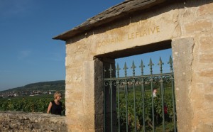 domaine leflaive bourgogne montrachet grand cru clos