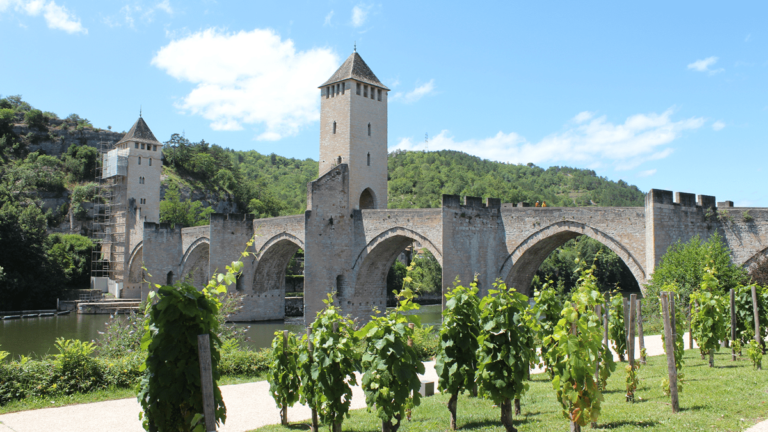 Lire la suite à propos de l’article 110 000€ pour un magnum de cahors du Château de Caïx !