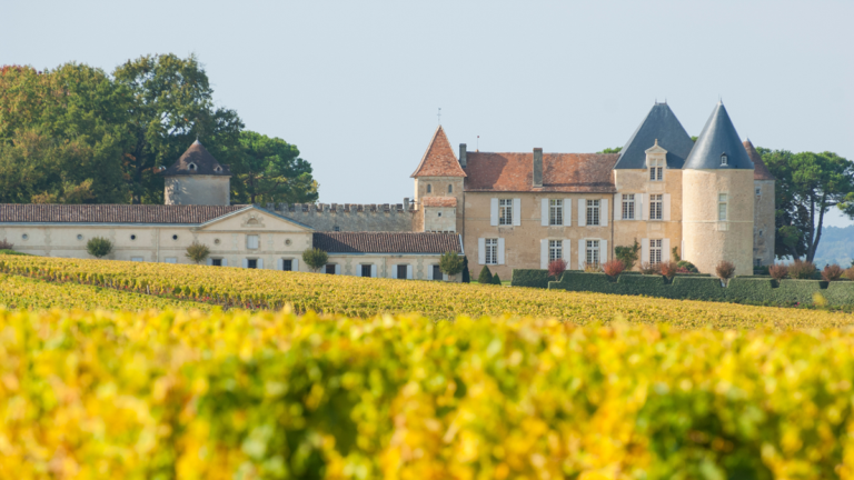 Lire la suite à propos de l’article Record de prix pour un Château d’Yquem 1811