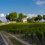 Un nouveau directeur technique au château Pichon Lalande
