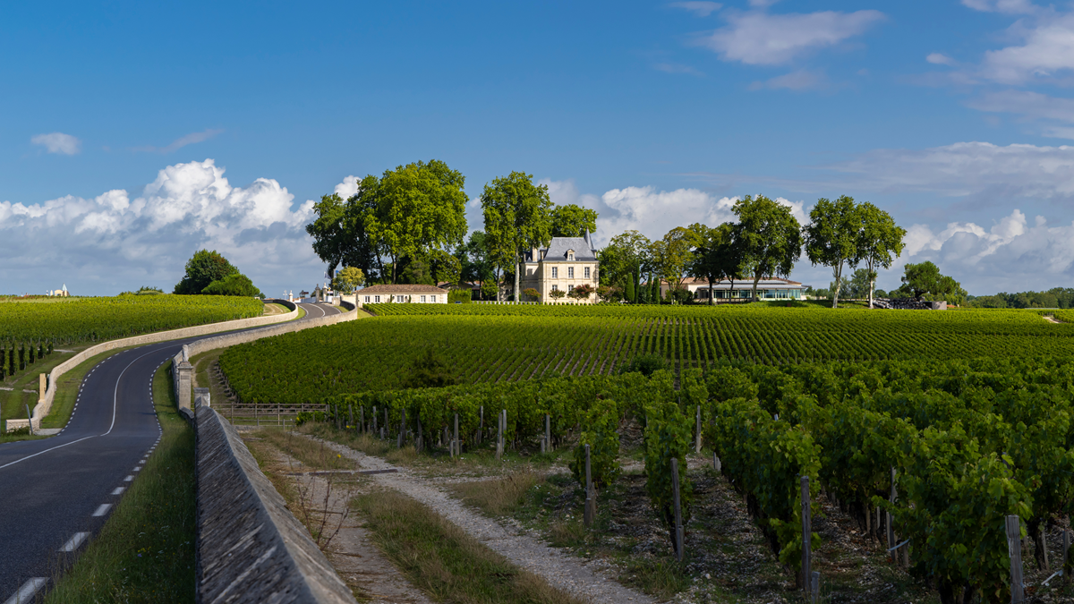 Lire la suite à propos de l’article Un nouveau directeur technique au château Pichon Lalande