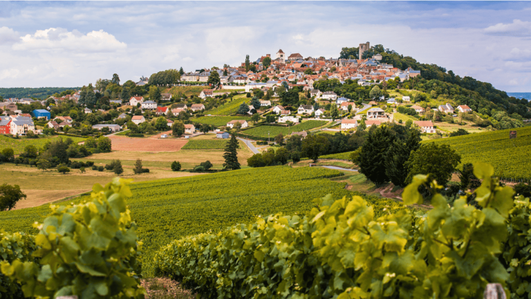 Lire la suite à propos de l’article Le domaine Vacheron : une valeur sûre de Sancerre