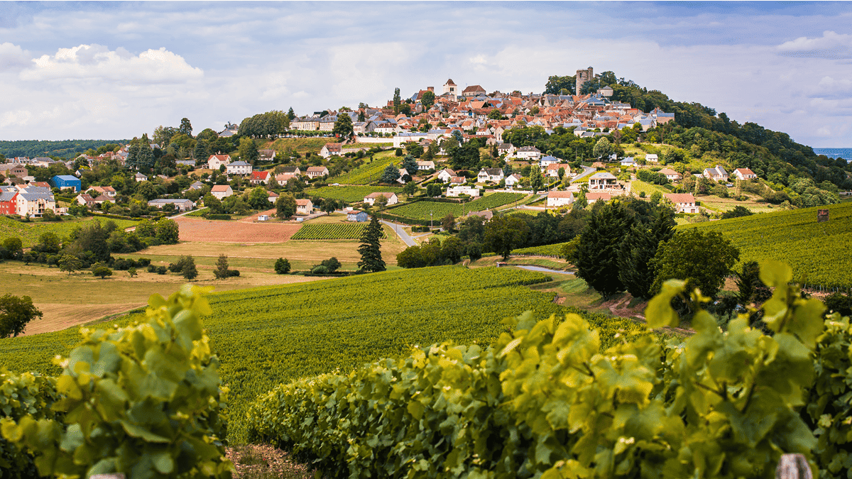 Lire la suite à propos de l’article Le domaine Vacheron : une valeur sûre de Sancerre