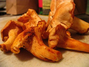 Girolles