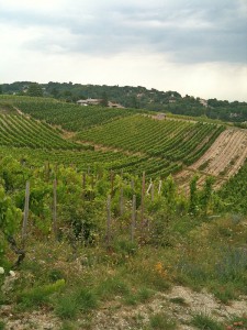 Crozes Hermitage 2 Crozes-Hermitage