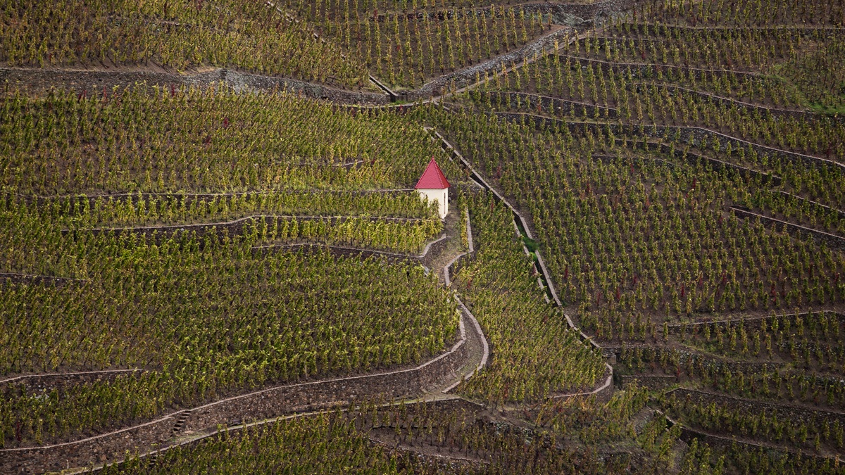 Lire la suite à propos de l’article Pleins feux sur le domaine Bonnefond, en Côte-Rôtie