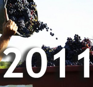 vendanges-2011 Millésime 2011