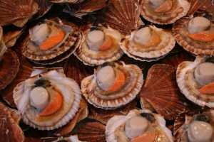 un repas de fête au champagne accord mets et vin iDealwine Noix de Saint-Jacques