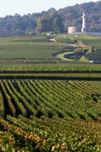 Champagne domaine Henriet-Bazin