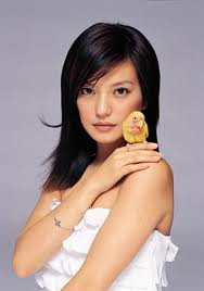 Zhao Wei saint emilion