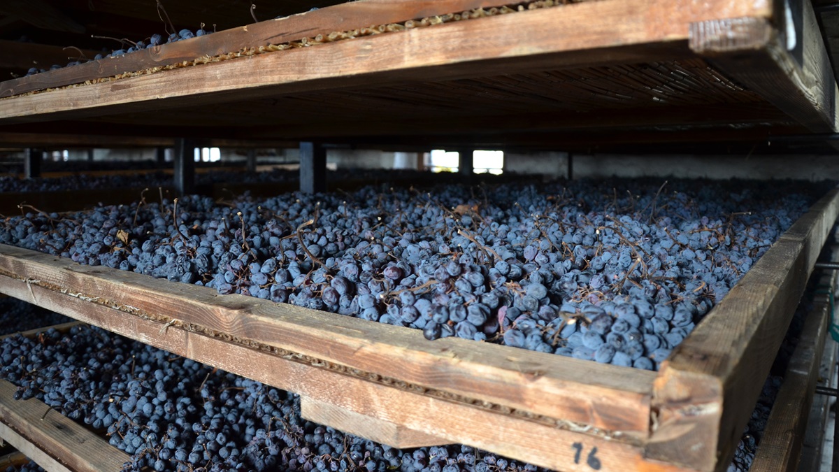 Lire la suite à propos de l’article Vinification des liquoreux : passerillage ou botrytis ?