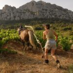 Zoom sur un domaine : le Clos des Fées, une réussite magique !