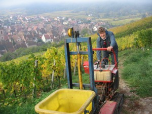 Jean-Michel Deiss complantation cépages