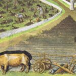 Le déclin du vignoble au Moyen-Age et l’influence hollandaise