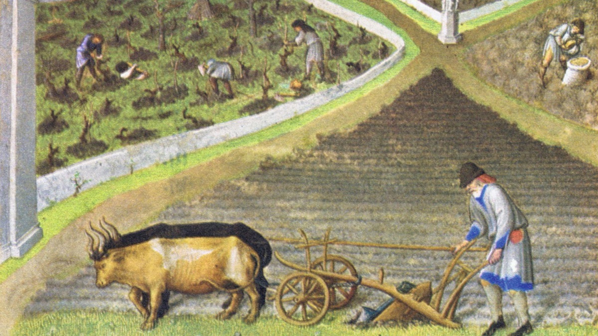 Lire la suite à propos de l’article Le déclin du vignoble au Moyen-Age et l’influence hollandaise