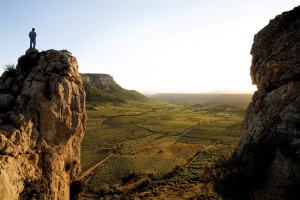 Que penser des millésimes 2008, 2009 et 2010 dans le Roussillon ? iDealwine