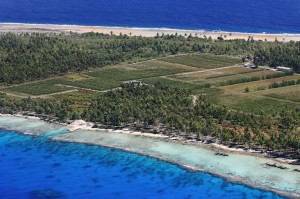 vignes-tahiti Vendanges à Tahiti : Vin de Pays Tropical ! iDealwine