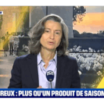 Les vins de Sauternes et autres liquoreux sont-ils éligibles au placement ?