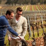 Brad Pitt et Angelina Jolie vendent 10 000 euros une barrique de leur vin !