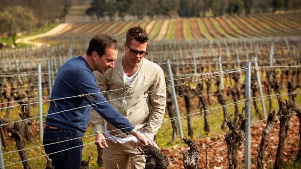 Lire la suite à propos de l’article Brad Pitt et Angelina Jolie vendent 10 000 euros une barrique de leur vin !