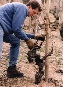 Pierre et Jérôme Coursodon iDealwine vins du Rhône