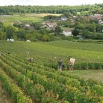 Bouzeron, une appellation à découvrir d’urgence !