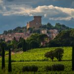 Les 13 cépages à Châteauneuf du Pape, mythe ou réalité ?