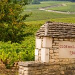 Les rachats de parcelles vont bon train en Bourgogne
