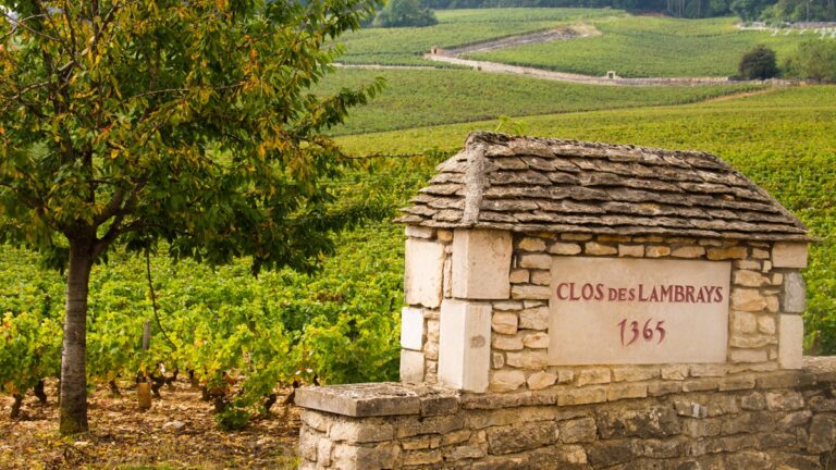 Lire la suite à propos de l’article Les rachats de parcelles vont bon train en Bourgogne