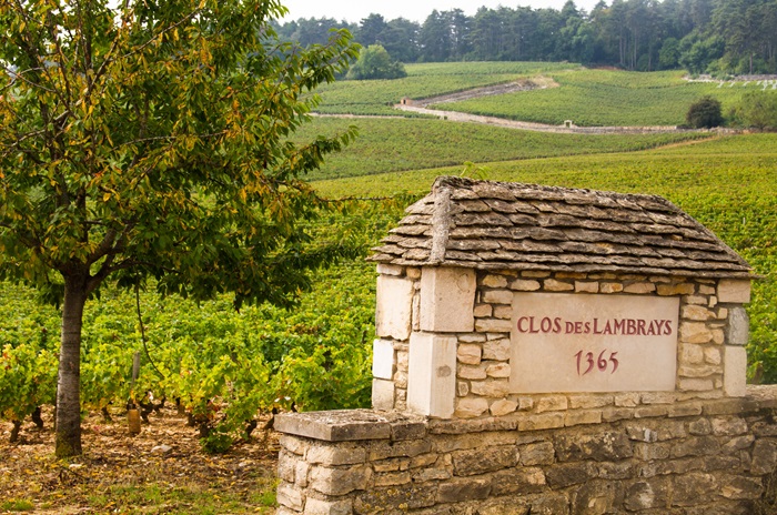 Clos-des-lambrays-LVMH-rachat