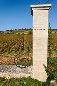 Les vignes de Montrachet Les vignes de Montrachet Rachat de parcelle Bourgogne