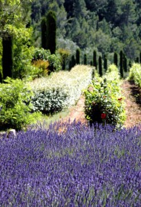 Les_Bastides_3