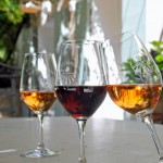 Clos Cibonne et son cépage fétiche, le tibouren