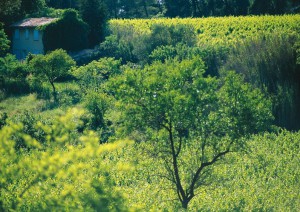 les_bastides_1