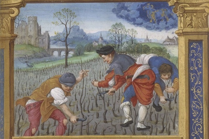 vin moyen age 
histoire du vin 
culture du vin au moyen age