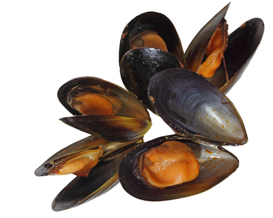 Recette des moules au safran