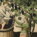 Histoire du vin : Le développement d’une viticulture populaire autour des grandes villes