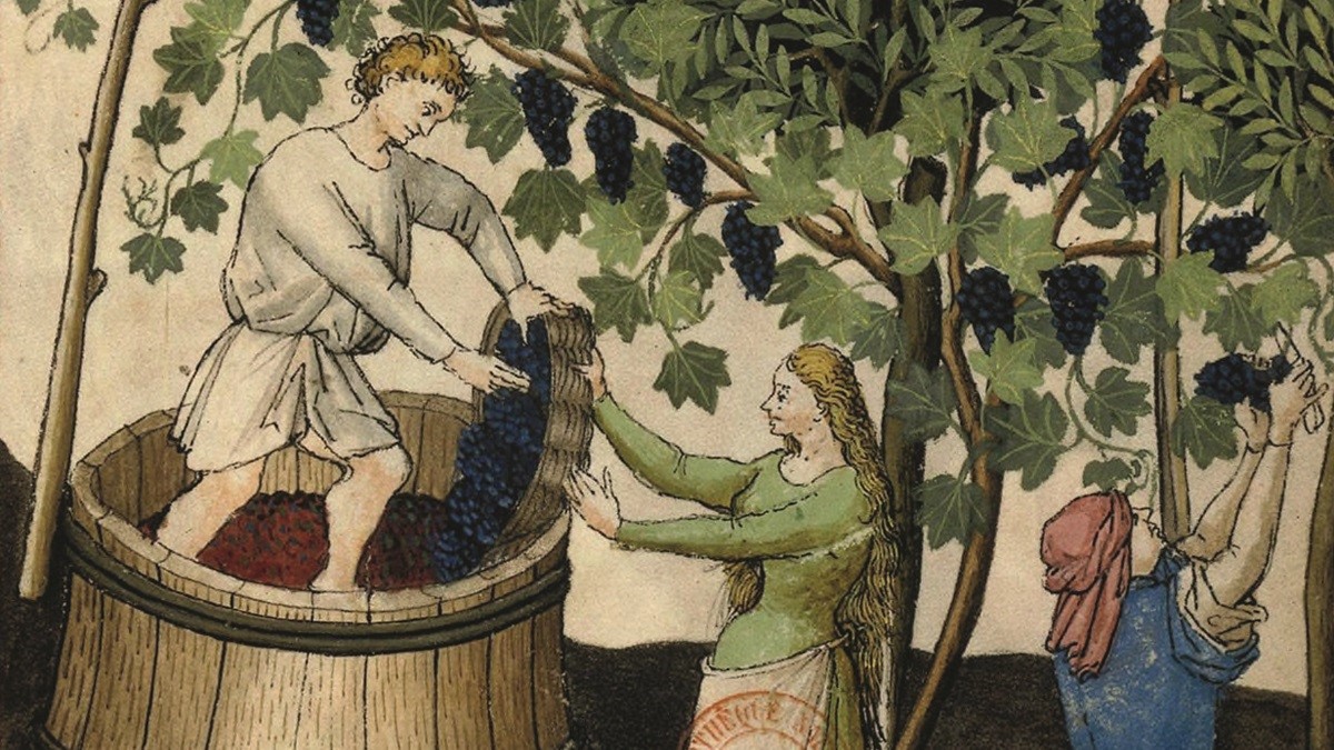 Lire la suite à propos de l’article Histoire du vin : Le développement d’une viticulture populaire autour des grandes villes