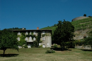 Maison du domaine Georges Vernay et ses vignes
