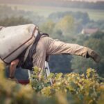 Chinon : Nicolas Grosbois, un producteur à suivre…